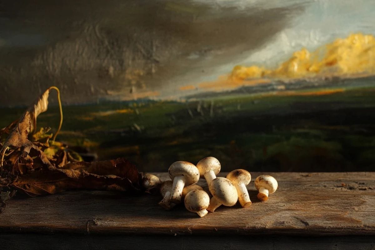 Fresh white button mushrooms on a rustic wooden surface.